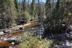 Colorado-River-Headwaters-Part-2-East-Inlet-Trail-Trail-Ridge-Road-09-22-2025_000347_07-scaled