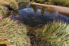 Colorado-River-Headwaters-Part-2-East-Inlet-Trail-Trail-Ridge-Road-09-22-2025_000459_10-scaled