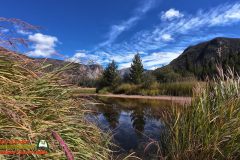 Colorado-River-Headwaters-Part-2-East-Inlet-Trail-Trail-Ridge-Road-09-22-2025_000519_12-scaled