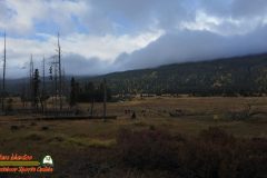 Colorado-River-Headwaters-Part-2-East-Inlet-Trail-Trail-Ridge-Road-09-22-2025_000911_23-scaled