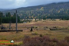 Colorado-River-Headwaters-Part-2-East-Inlet-Trail-Trail-Ridge-Road-09-22-2025_000916_24-scaled