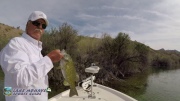 Bass-Fishing-Colorado-River-Lake-Mohave-vlcsnap-2022-08-21-13h10m38s305
