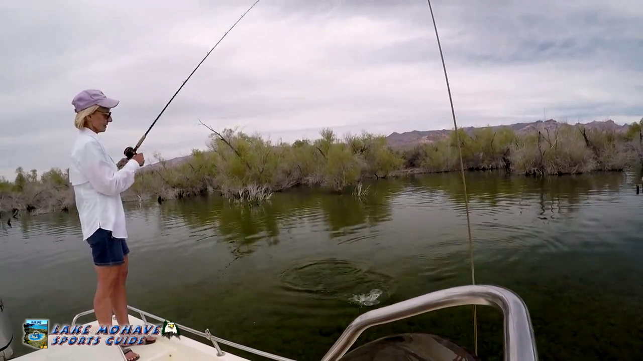 Tired of the Ski Slopes for the Season? Try Arizona Bass Fishing at Lake Mohave!