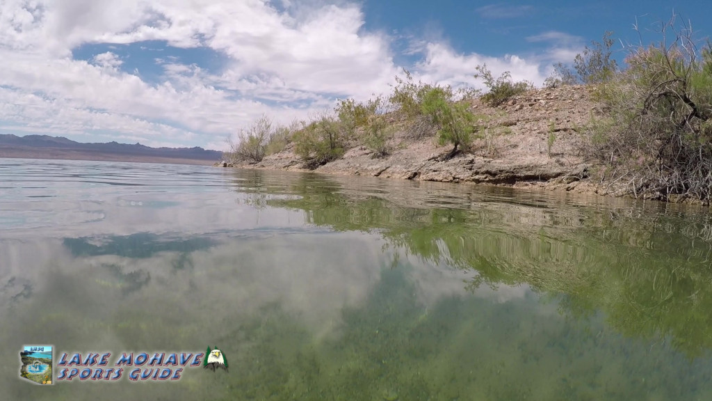 Lake Mohave Underwater Bass Video 4-19-2019
