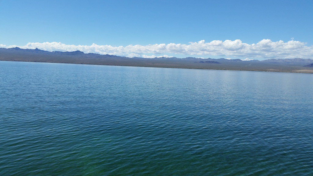 Lake Mohave Fishing Report  February 9, 2018
