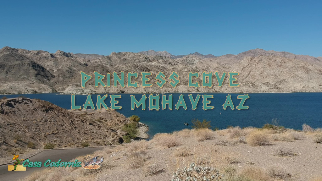 Princess Cove Boat Ramp and Picnic Area Lake Mohave Arizona