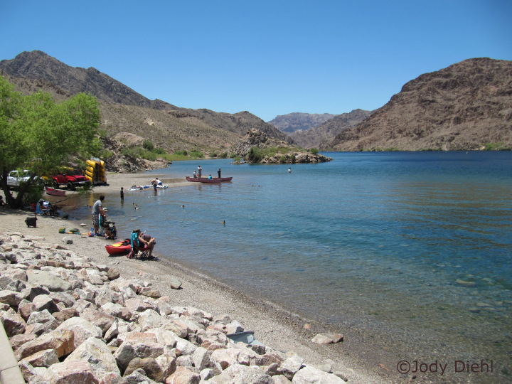 Lake Mohave Fishing Reports